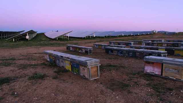Planta fotovoltaica de Iberdrola en Huelva con colmenas.