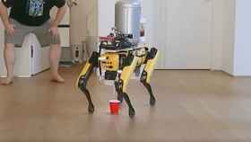 El perro robot de Boston Dynamics, sirviendo cerveza