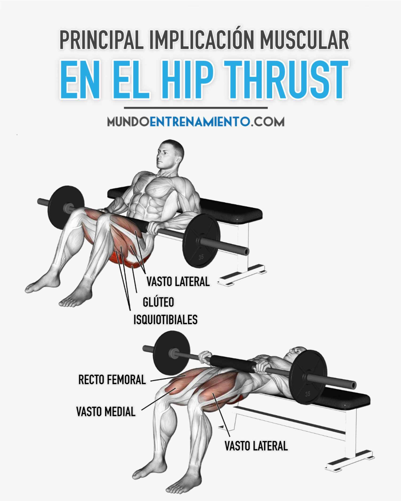 Conoce el Hip Thrust, el mejor ejercicio para glúteo: qué es, cómo se  practica, variantes