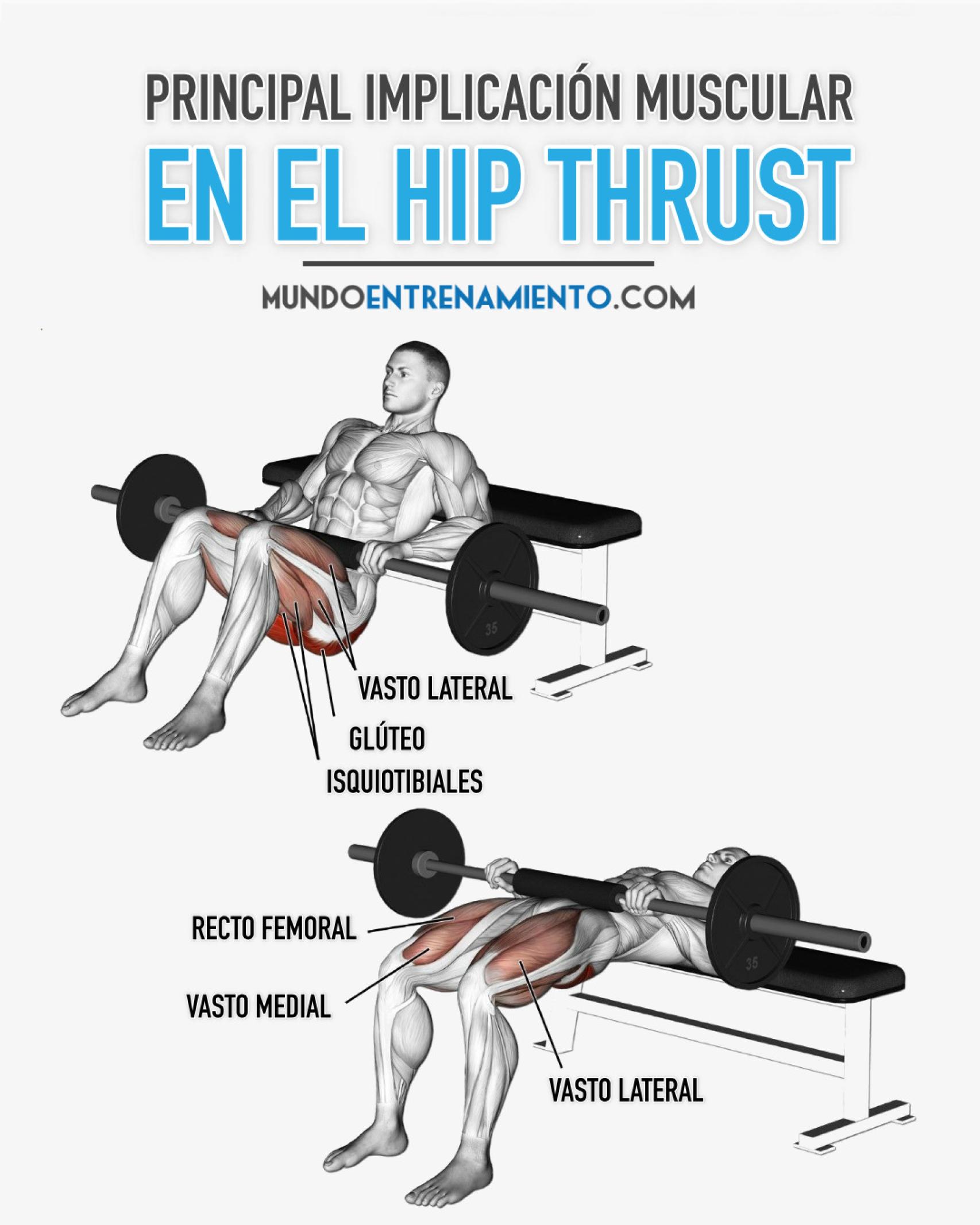 Conoce El Hip Thrust El Mejor Ejercicio Para Gl Teo Qu Es C Mo Se Practica Variantes