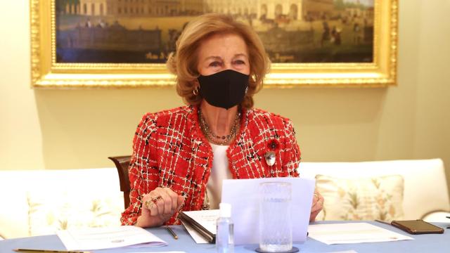 La reina Sofía en una videoconferencia con miembros de la Federación Española del Párkinson.