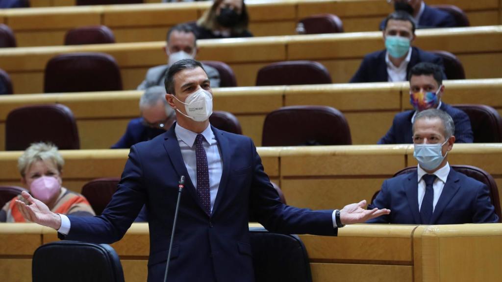 Pedro Sánchez, presidente del Gobierno, en la sesión de control del Senado.