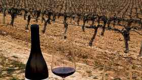 San Cobate, el vino tinto que ha puesto en jaque a Ribera del Duero
