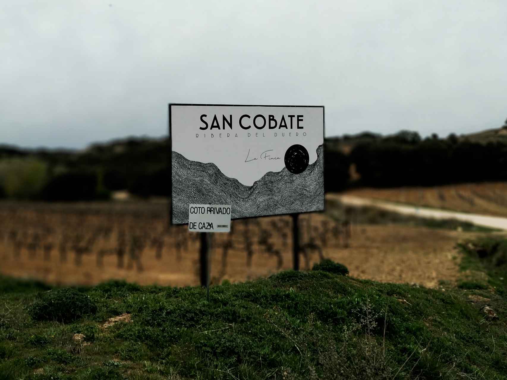 San Cobate, bienvenidos a un viñedo singular.
