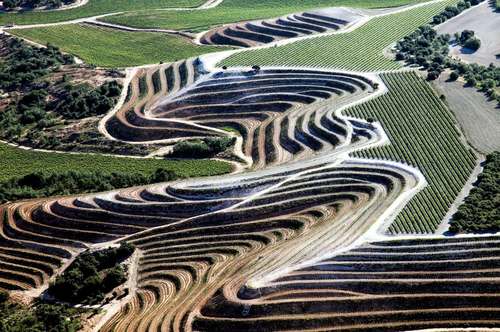 Vista aérea del viñedo en bancales de la finca San Cobate.
