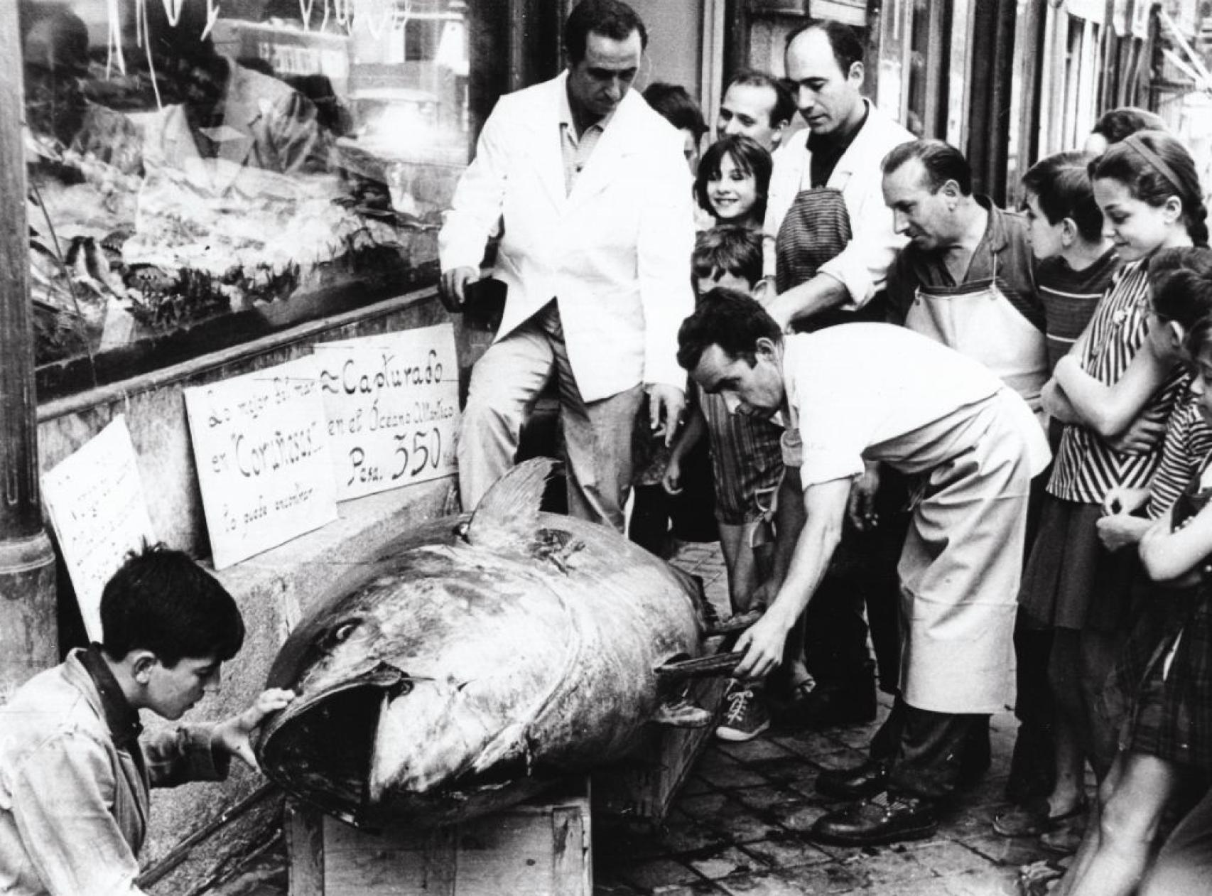 Atún 350 kg en Pescaderías Coruñesas.