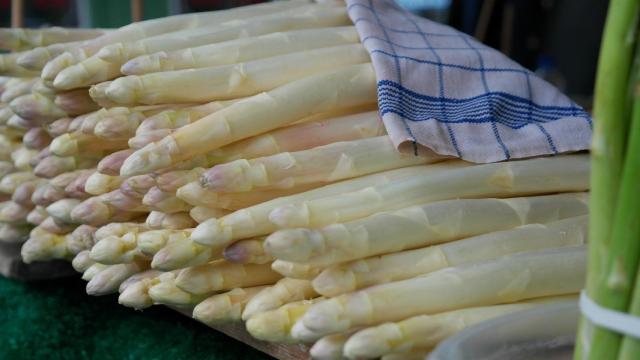 Cómo cocinar espárragos blancos y qué recetas puedes hacer con ellos