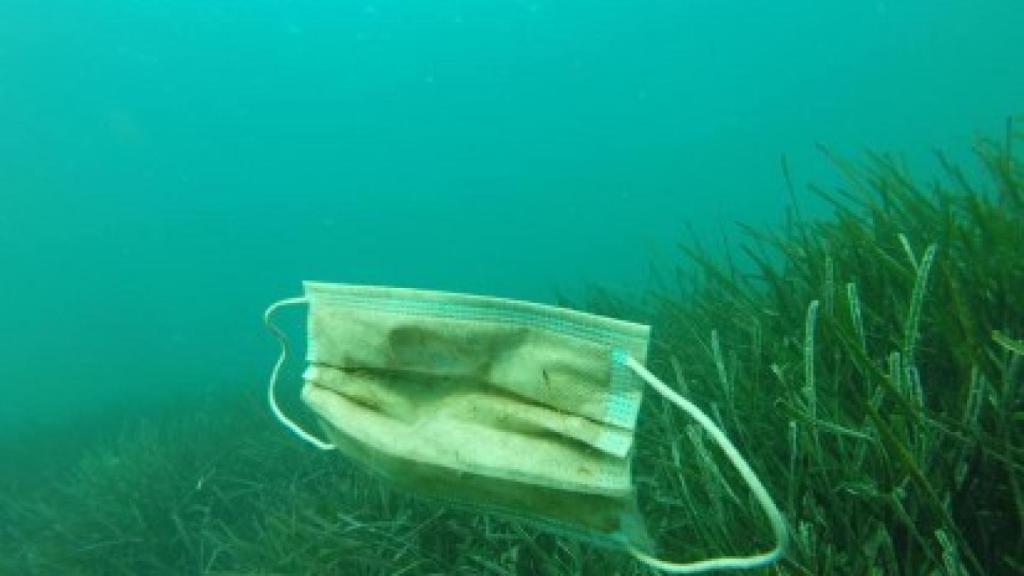 Mascarilla de plástico en el mar.