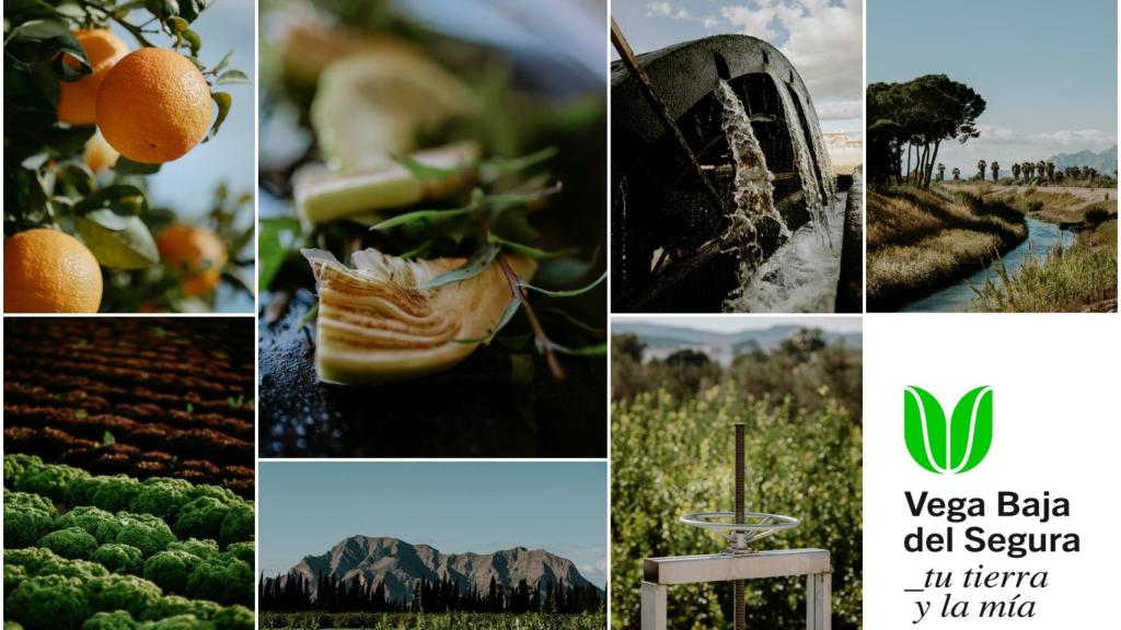 La Vega Baja del Segura impulsa su propia 'marca territorio' como seña