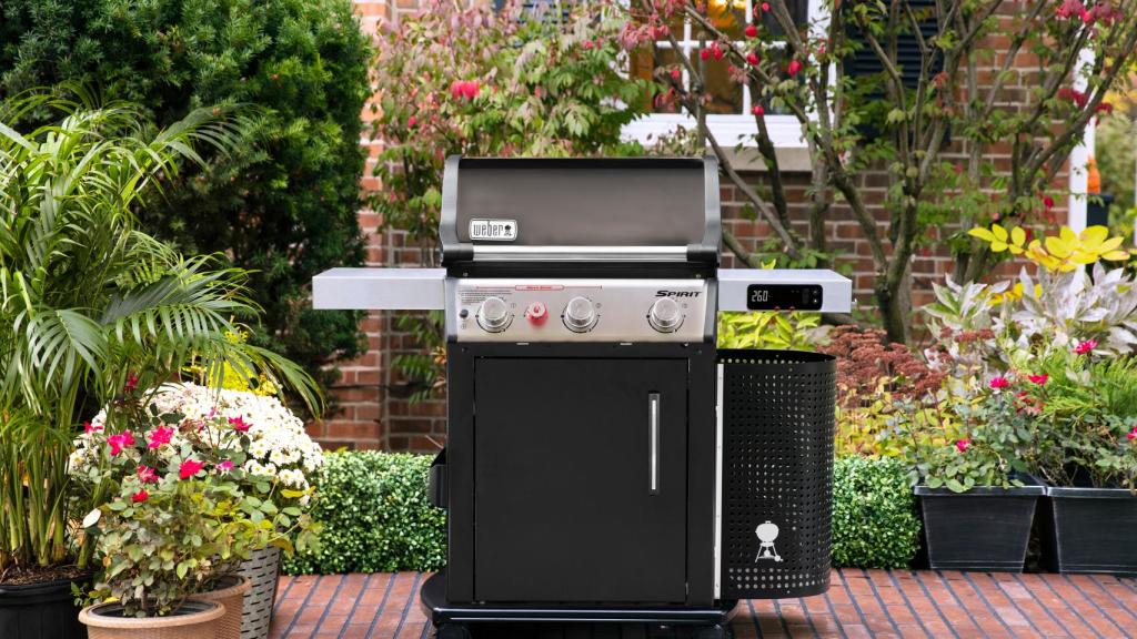 Barbacoa Spirit EX.