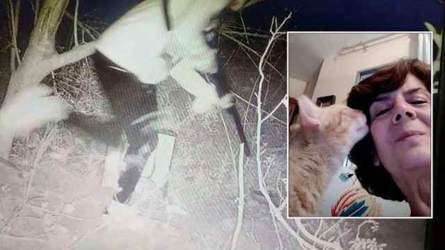 María Gil sobre una captura de pantalla de los vídeos que tomó a los menores implicados en la muerte de sus gatos.