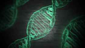 Representación gráfica de una cadena de ADN. IMAGEN: Pixabay