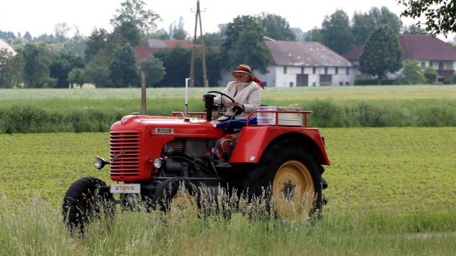 20 años de media en relaciones de maltrato: la lacra de las mujeres rurales por la desigualdad económica