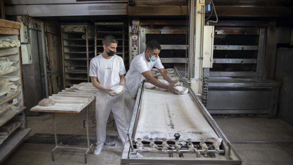 Dos trabajadores del obrador de Forno de Lugo, metiendo al horno el pan artesanal gallego recién amasado.