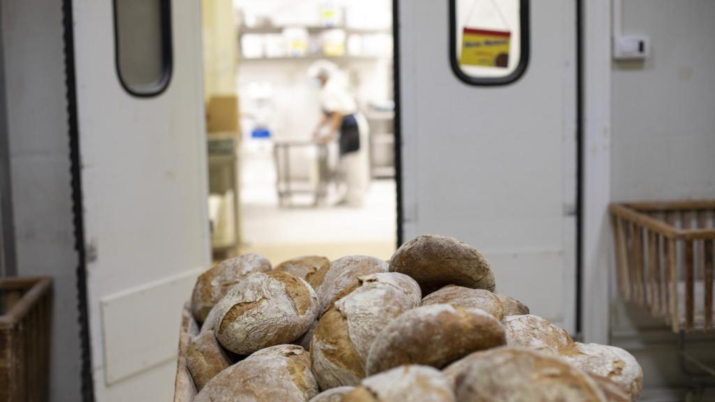 Los panes recién hechos en el obrador central de Forno de Lugo.
