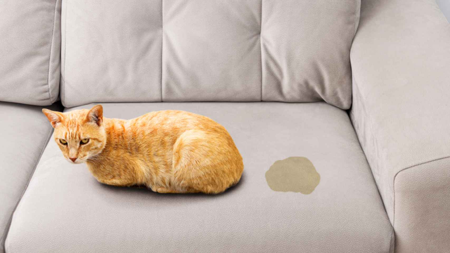 Cómo un sofá de tela fácilmente a