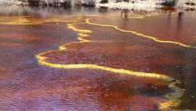 Imagen del Tintillo donde se observan los estromatolitos de hierro ya formados en el cauce del río. Foto: Eduardo Mayoral.
