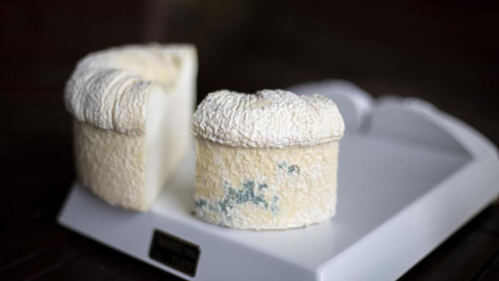 El queso D.O.P. Cebreiro madurado es un queso de origen medieval cuya receta se había perdido.
