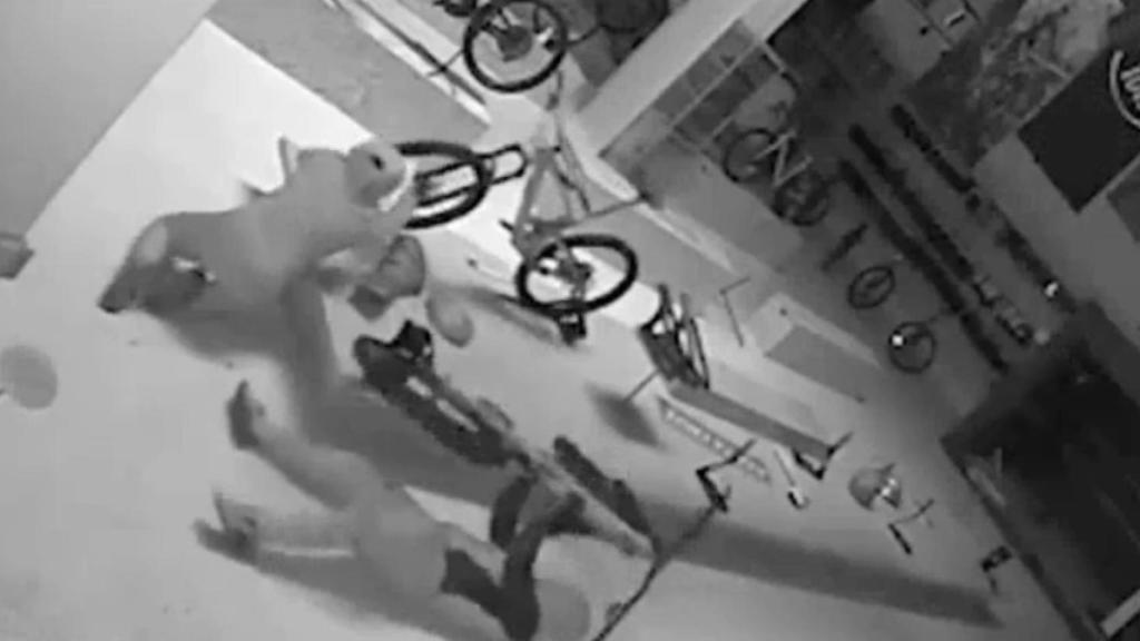 Las cámaras de seguridad de LTMRacing, una tienda especializada, captaron el robo de las 80 bicicletas.