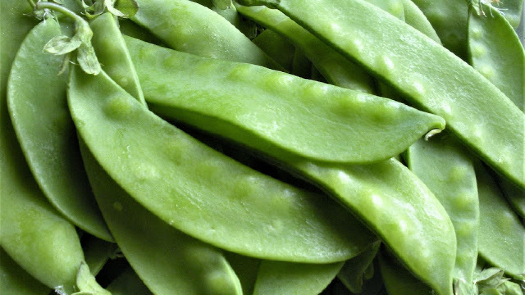 Judía verde, legumbre pero también hortaliza – Frutas Champi Canarias SL