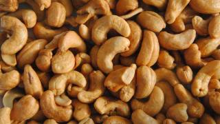 Los frutos secos son alimentos especialmente ricos en fibra.