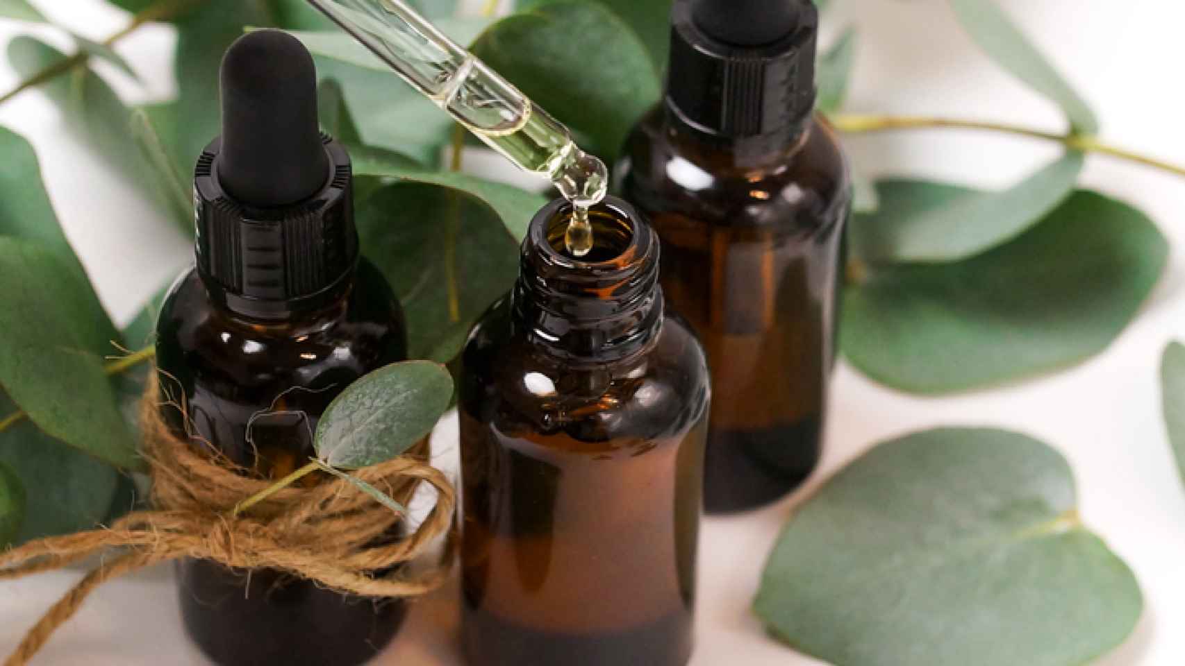 Boda Minimizar laringe Para qué sirve el aceite de árbol de té, usos y propiedades