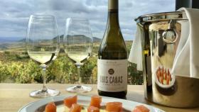 Vinos blancos de Rioja, los grandes desconocidos de la denominación