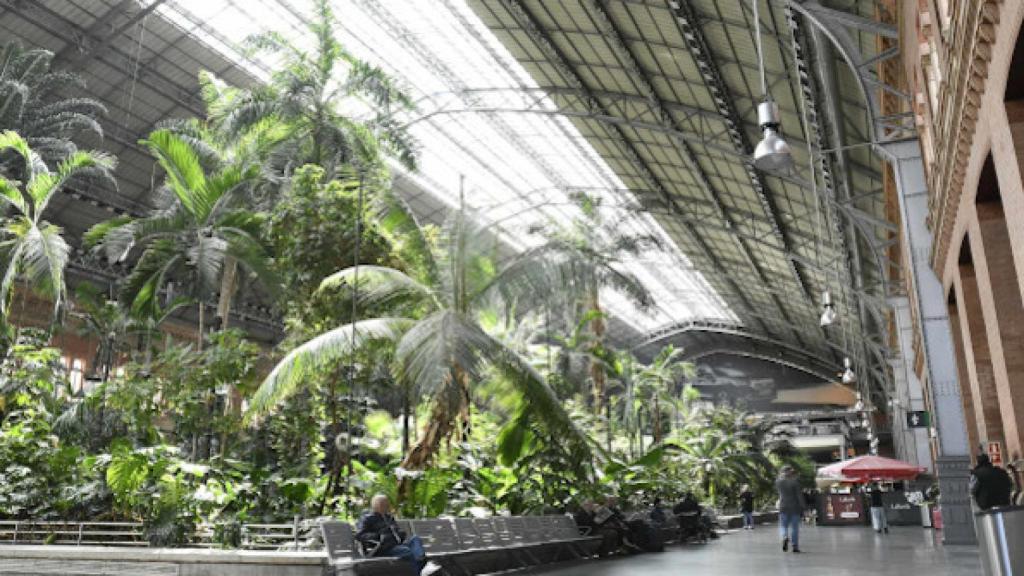 Jardín Tropical