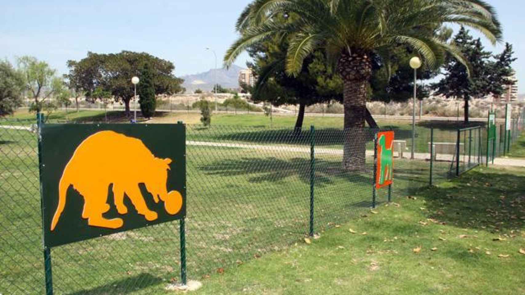 Estos son los parques de Alicante en los que puedes soltar a tu mascota para  jugar