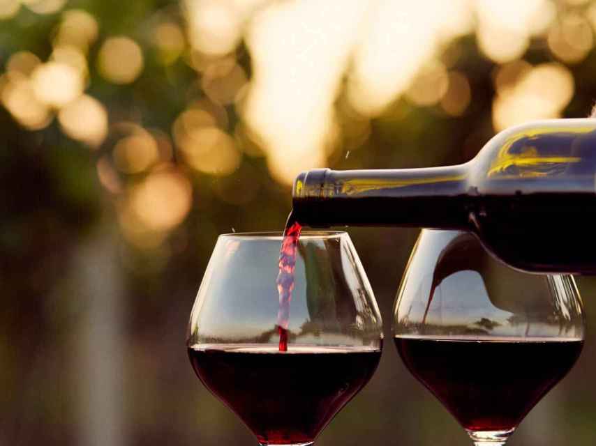 Las claves para hablar de vino sin cometer errores.