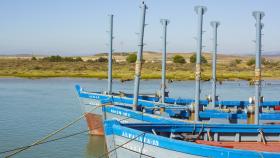 Una vuelta por la bella costa de Cádiz