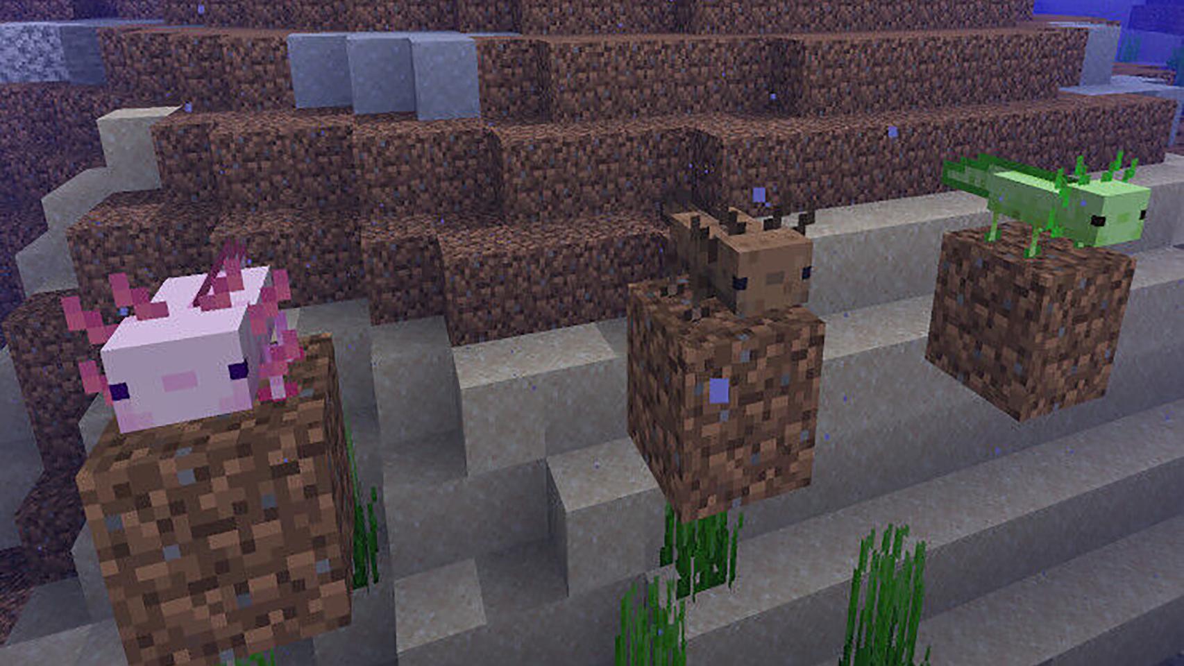 Axolots en 'Caves and Cliffs
