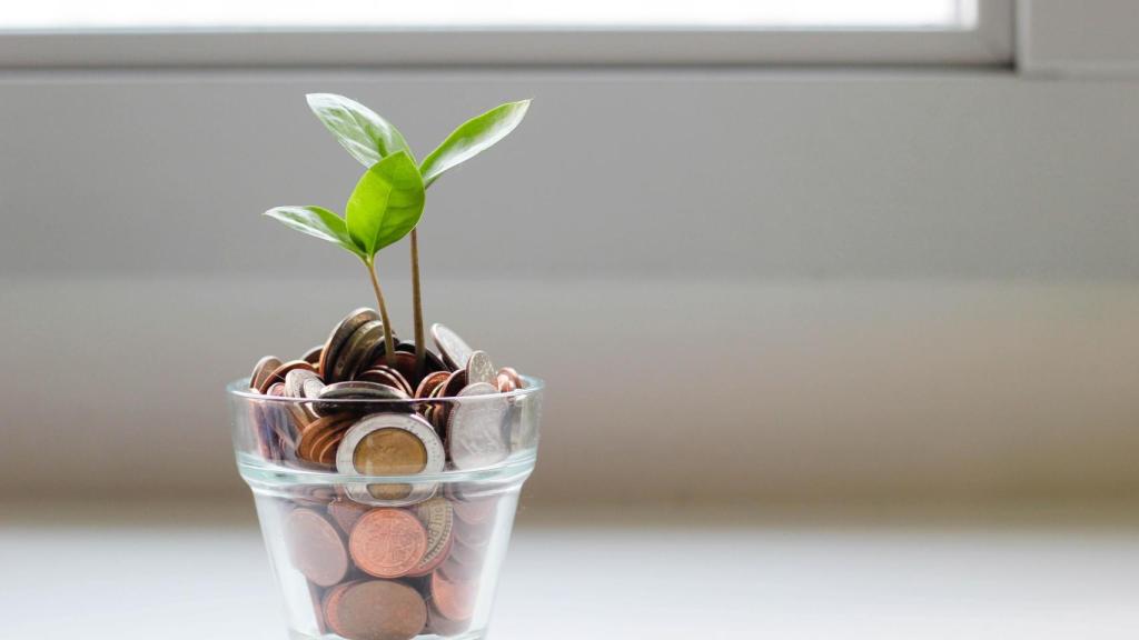 Una planta en una maceta con monedas.