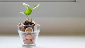 Una planta en una maceta con monedas.