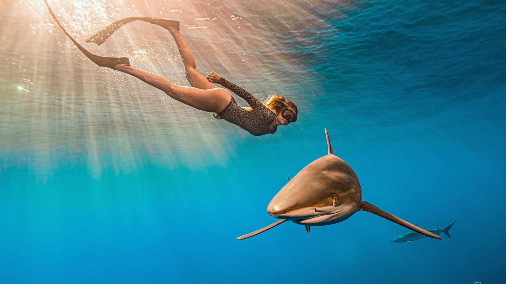 Tiburón: Gádor, la experta en tiburones que vivió 3 meses en una isla  desierta: 