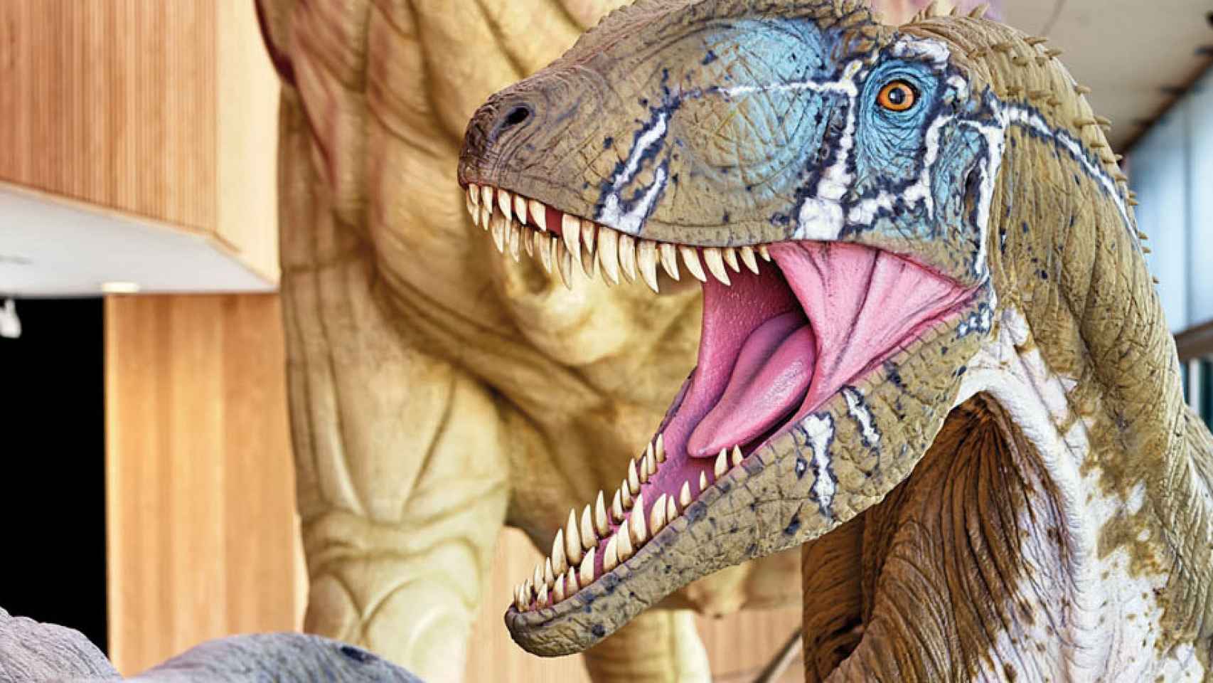 Museo paleontológico