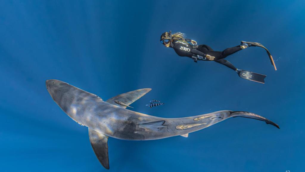 Gádor es divulgadora y vive en La Paz (México), uno de los mejores lugares para estudiar a los tiburones.