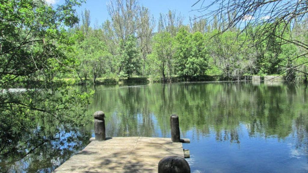 Bosque de Finlandia, Rascafría
