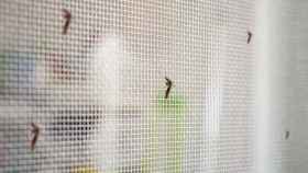 Las mosquiteras para ventanas y puertas más vendidas de Amazon