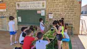 Los pequeños, en el colegio Ramón y Cajal de Alpartir (Zaragoza).