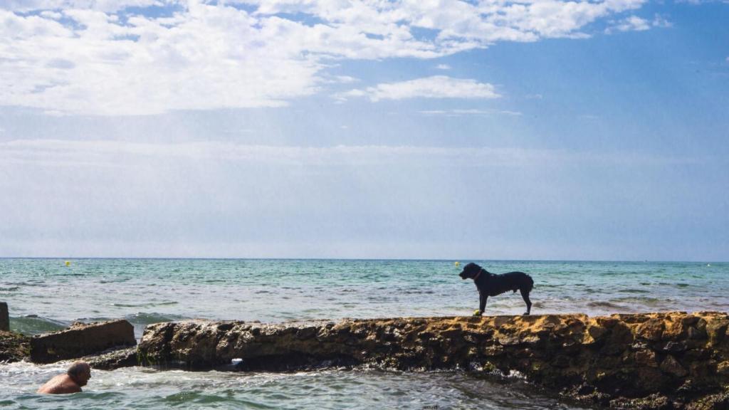 La playa de Agua Amarga tiene una zona de pipi-can