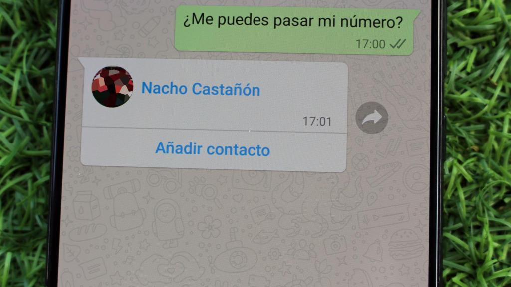 El truco de WhatsApp para saber con qué nombre te tienen guardado