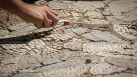 Teselas de uno de los mosaicos hallados en Itálica.