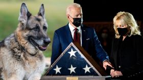 Joe y Jill Biden con su perro Champ en un montaje de Jaleos.