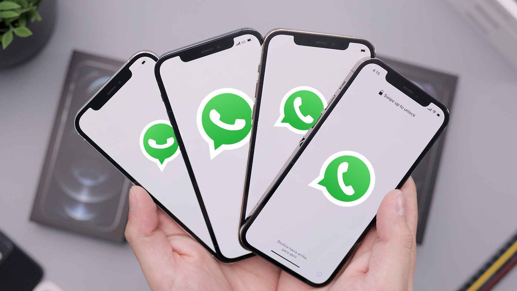 Logo de WhatsApp en 4 iPhones.