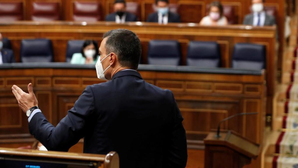 Pedro Sánchez, de espaldas, ante Pablo Casado, durante la sesión de control al Gobierno en el Congreso.