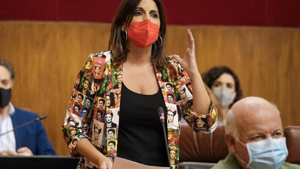 La portavoz del grupo parlamentario socialista Ángeles Férriz.