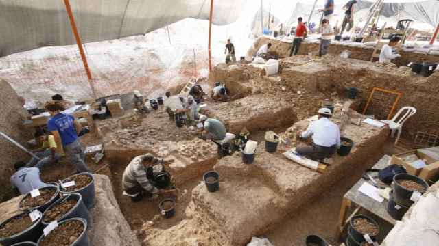 Unos misteriosos fósiles hallados en Israel cambian la historia de la evolución humana  591453853_193114985_640x360