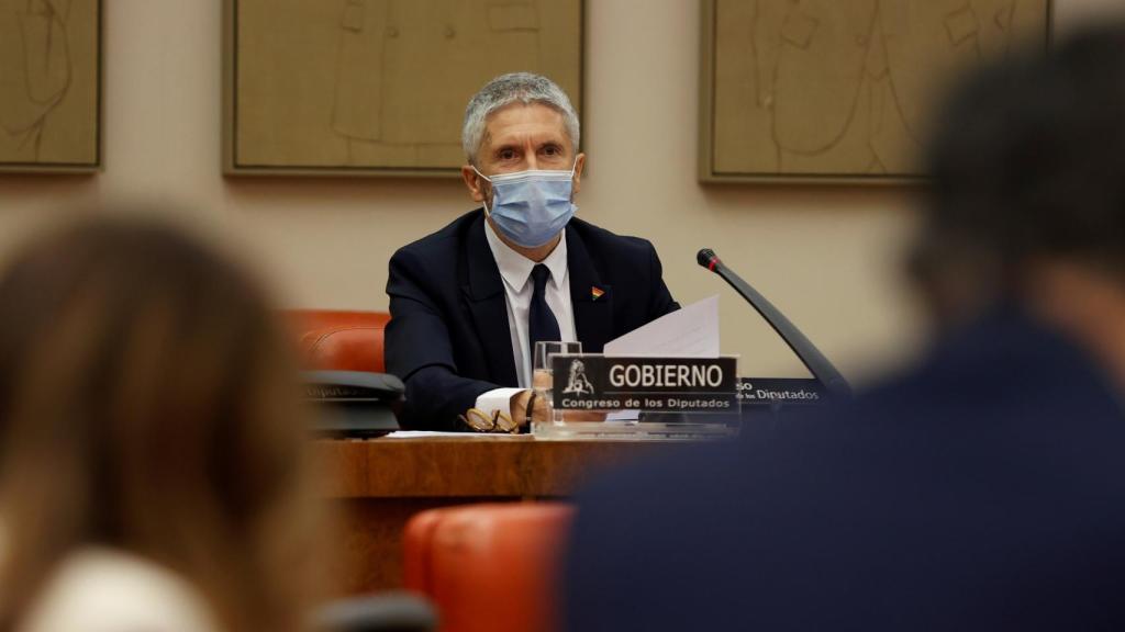 Fernando Grande-Marlaska, ministro del Interior.