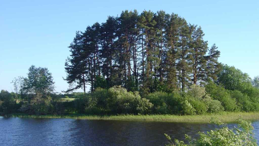 El yacimiento de Rinnukalns, a orillas del río Salaca, en Letonia